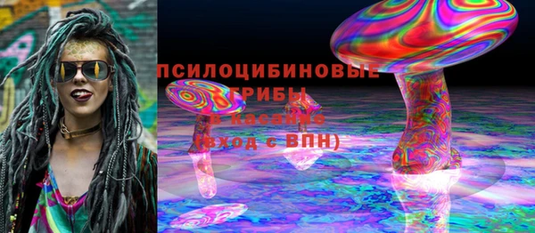 стафф Богданович